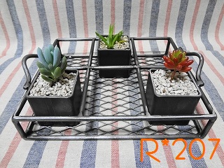 Tray & Box@type5-a